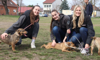 Az ASKA Kutyaotthonban jártunk