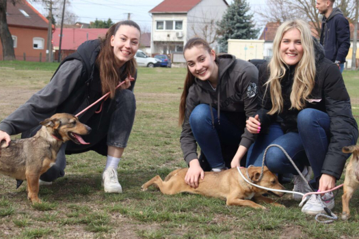 Az ASKA Kutyaotthonban jártunk