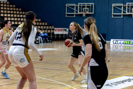 Nagyot harcoltunk a TFSE otthonában